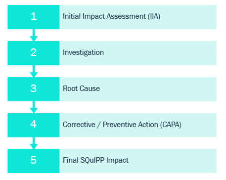 Deviation Process Flow Phases