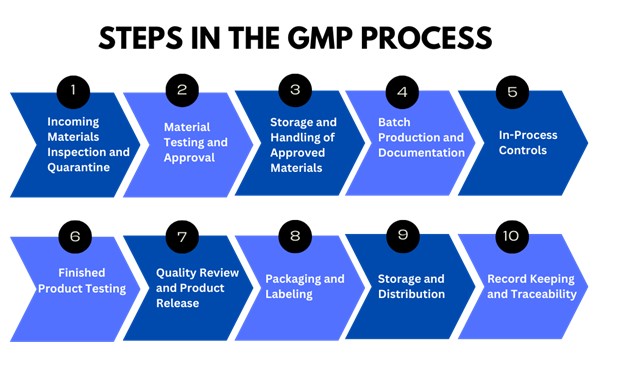 Steps in the GMP Process