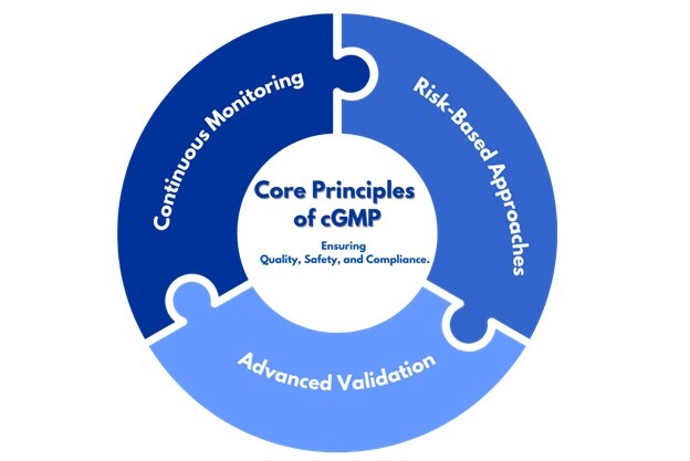 Core Principles of cGMP