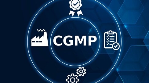 cGMP