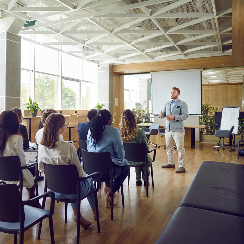 Leader teaching to a room of professionals